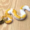 Super Orange Dream Calico Enchi Leopard Yellow Pied Ball Python (Female)